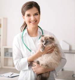 woman holding cat