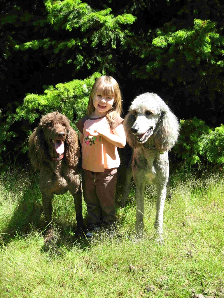 child with 2 dogs